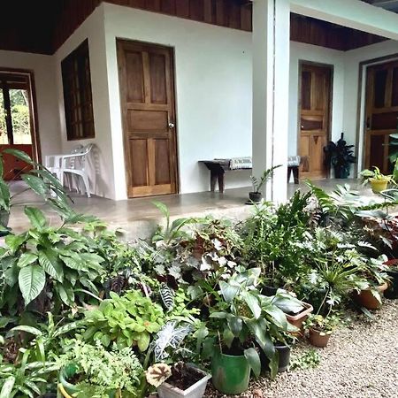 Гостевой дом Casa Briza Никойя Экстерьер фото